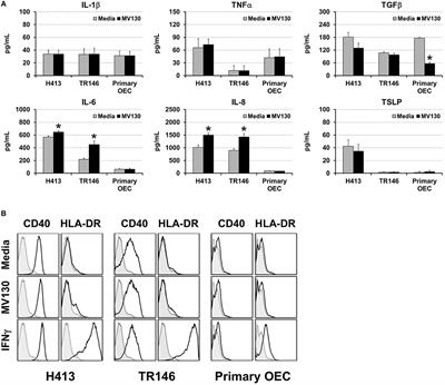 Human Oral Epithelial Cells Impair Bacteria-Mediated Maturation of Dendritic Cells and Render T Cells Unresponsive to Stimulation